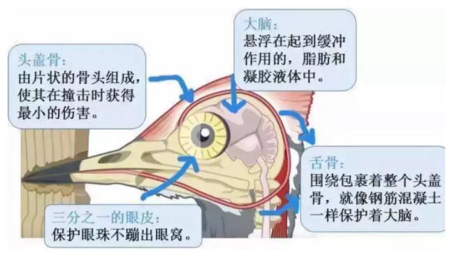 昆明安全帽，安全買冷知識你知道嗎？
